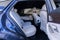 2026 Mercedes-Benz GLE GLE 450 Coupe 4MATIC®