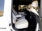 2024 Mercedes-Benz G-Class G 550 4MATIC®