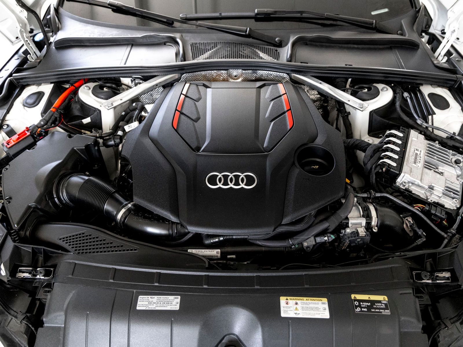 2024 Audi S5 Sportback Premium Plus quattro