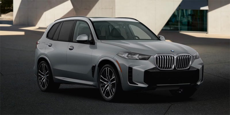 bmw x5 img